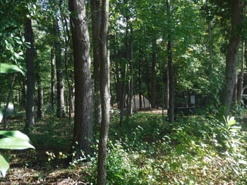 7421 Berkshire Downs Dr, Raleigh, NC 27616