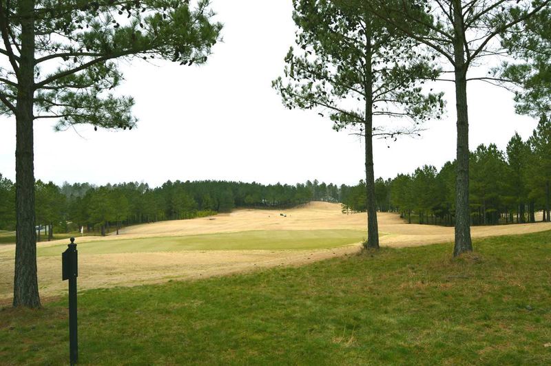 743 Berry Patch Ln Lot 686, Pittsboro, NC 27312