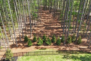 7440 Summer Tanager Trl, Raleigh, NC 27614