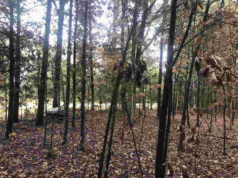 7481 Old Graham Rd Lot 2, Pittsboro, NC 27312