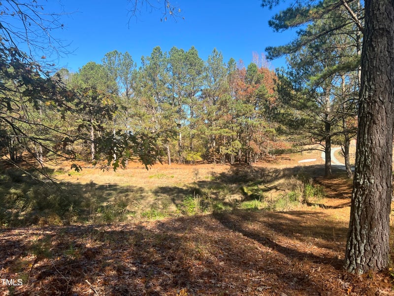 75 Green Level Rd, Apex, NC 27523