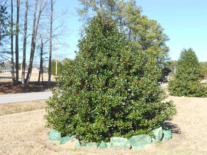 75 Joe Denton Rd, Louisburg, NC 27549