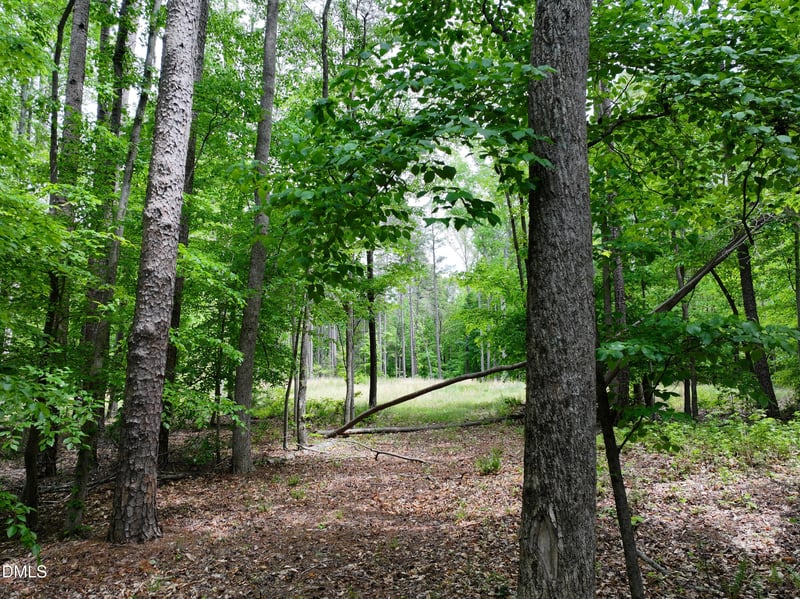 75 Max Finn Ln Lot 1, Roxboro, NC 27574