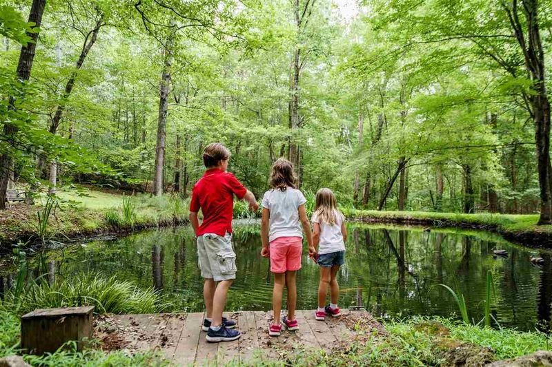 7500 Stony Hill Rd, Wake Forest, NC 27587