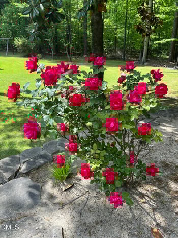 7508 Hazelhurst Cir, Apex, NC 27502