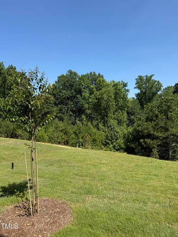 755 Bachelor Gulch Way, Apex, NC 27523