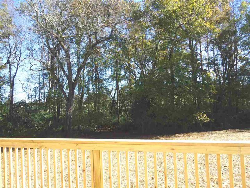76 Clarendon Ct, Angier, NC 27501