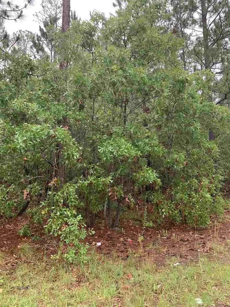 76 Deer Vw Lot 377, Sanford, NC 27332