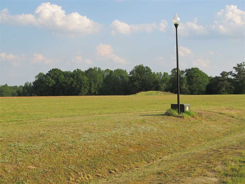 76 Southern Pl Lot 2, Lillington, NC 27546