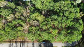 7608 Valview St Lot 11, Raleigh, NC 27613