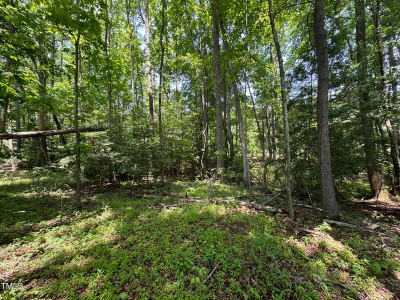 7621 Halifax Rd, Youngsville, NC 27596