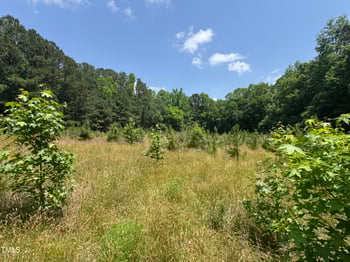 7621 Halifax Rd, Youngsville, NC 27596