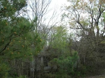 7625 Fayetteville Rd, Raleigh, NC 27603