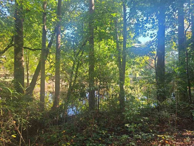 7629 Jenks Rd, Apex, NC 27523