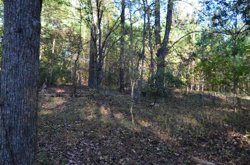 763 Foxfire Tc, Pittsboro, NC 27312