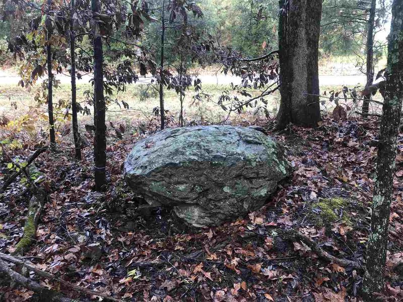 7655 Old Graham Rd Lot 1, Pittsboro, NC 27312