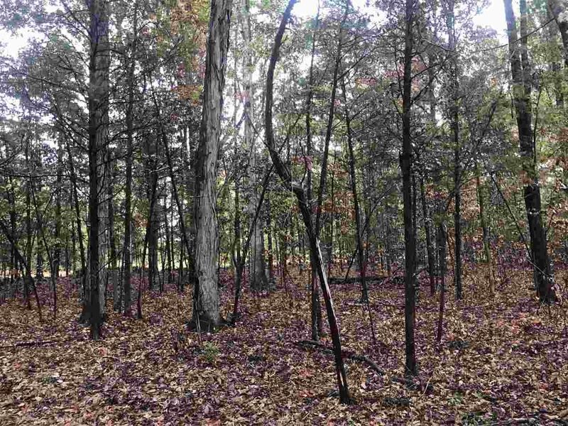 7655 Old Graham Rd Lot 1, Pittsboro, NC 27312