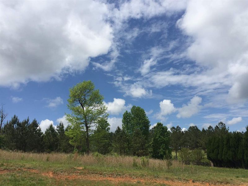 766 Chapel Ridge Dr Lot 99, Pittsboro, NC 27312