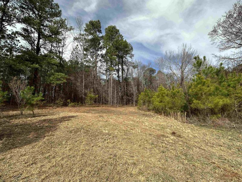 7680 Nc 27 E Hw Lot 1, Coats, NC 27521