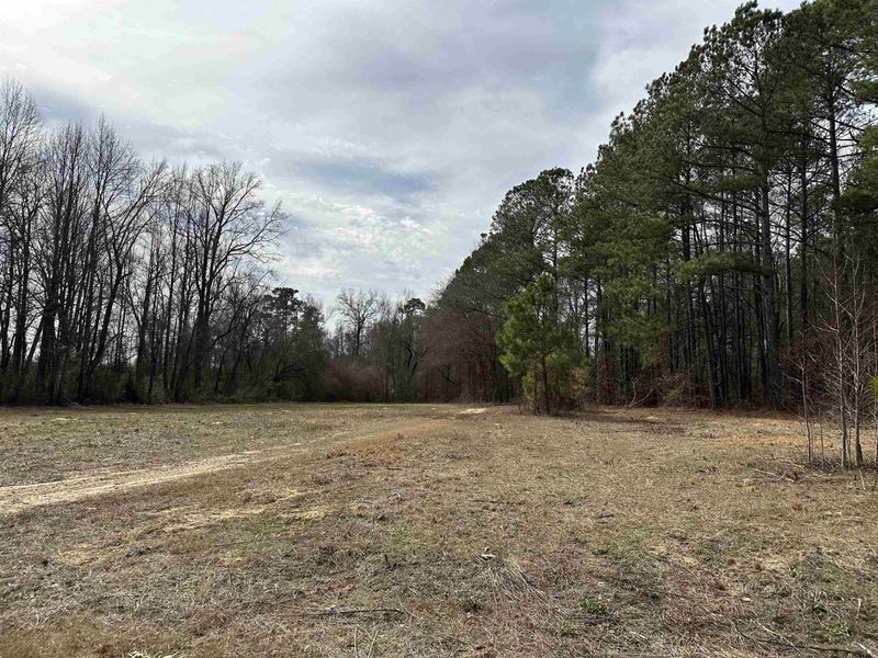 7680 Nc 27 E Hw Lot 1, Coats, NC 27521