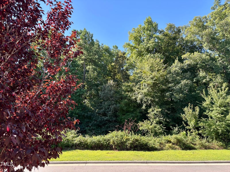 77 Hawk Point Rd, Chapel Hill, NC 27516
