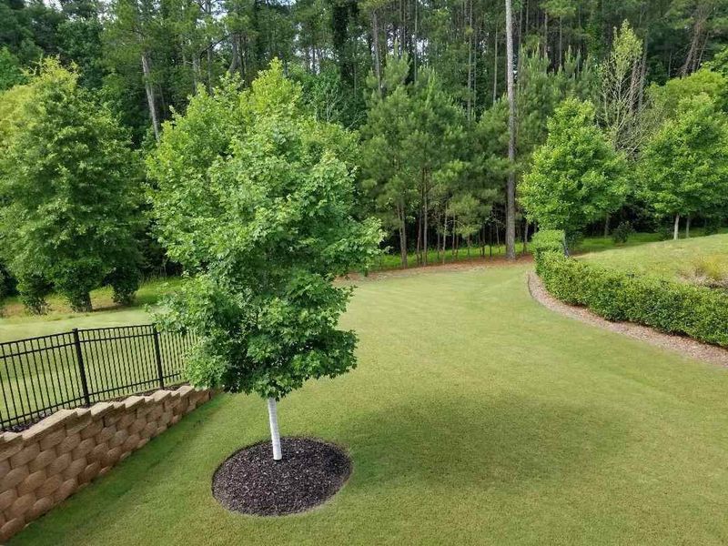 772 Eldridge Loop, Cary, NC 27519