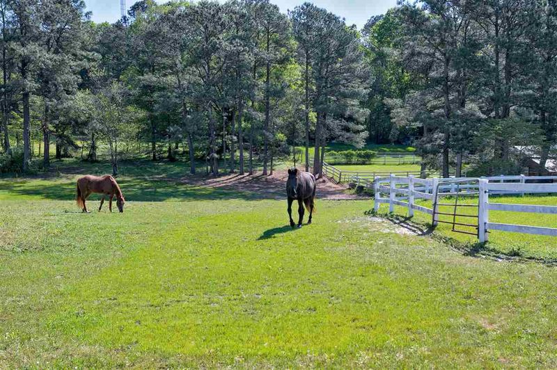7725 Blaney Franks Rd, Apex, NC 27539
