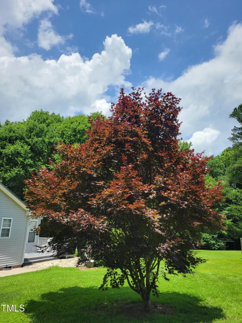 78 Phil Johnson Rd, Sanford, NC 27330