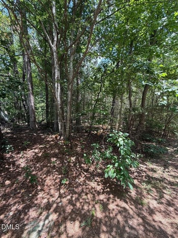 7801 Grand Lillie Dr Lot 2, Durham, NC 27712