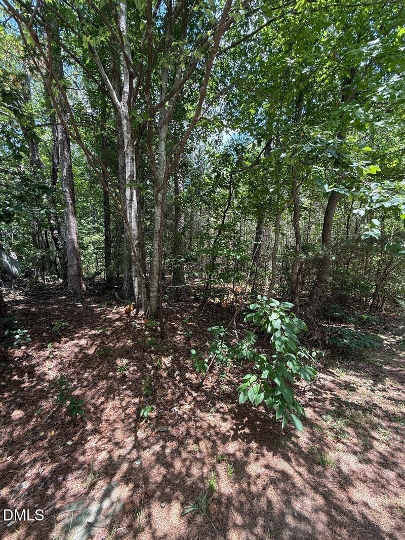 7801 Grand Lillie Dr Lot 2, Durham, NC 27712