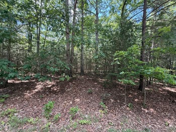 7801 Grand Lillie Dr Lot 2, Durham, NC 27712