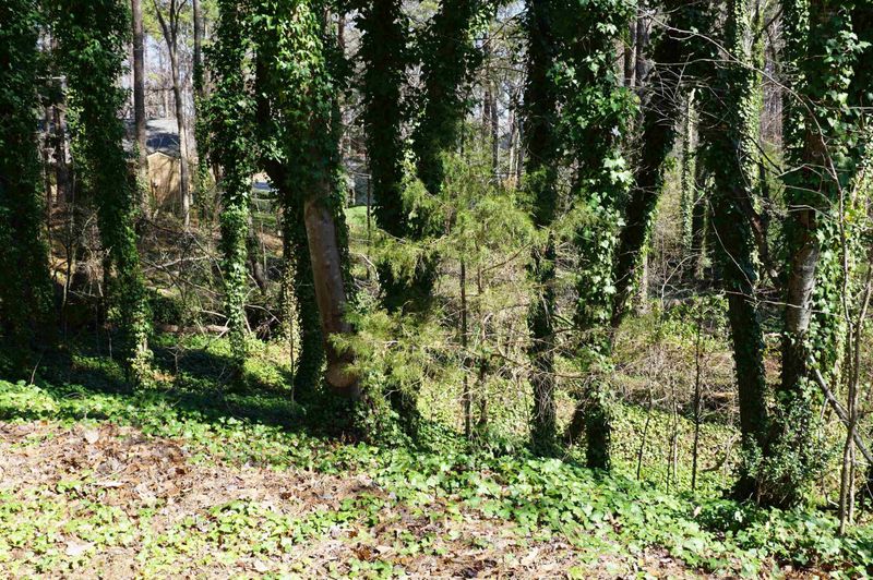 7804 Prospector Pl, Raleigh, NC 27615