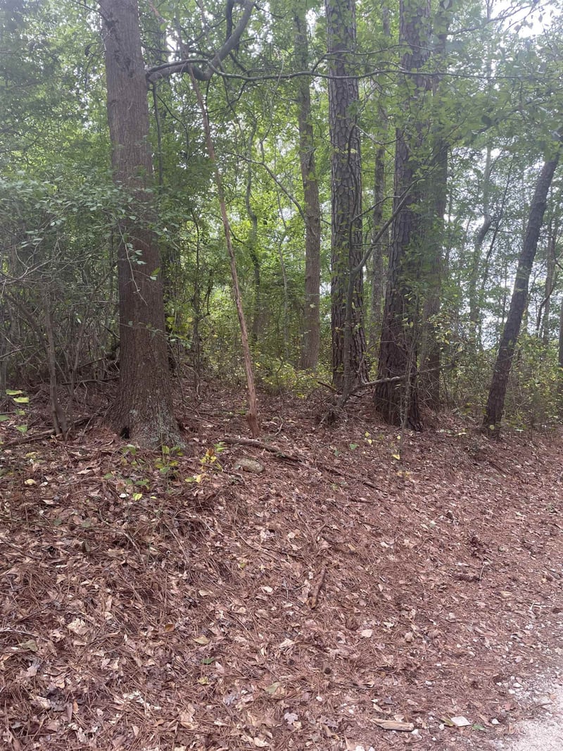 7826 Poole Rd, Raleigh, NC 27610