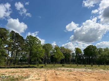 786 Olive Branch Dr, Smithfield, NC 27577