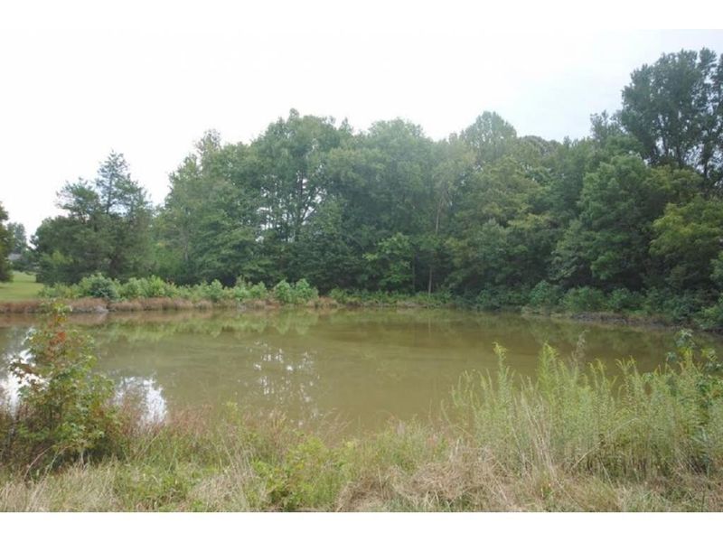 7920 E Washington, Mebane, NC 27302