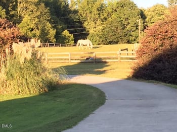 7925 Ragan Rd, Apex, NC 27502