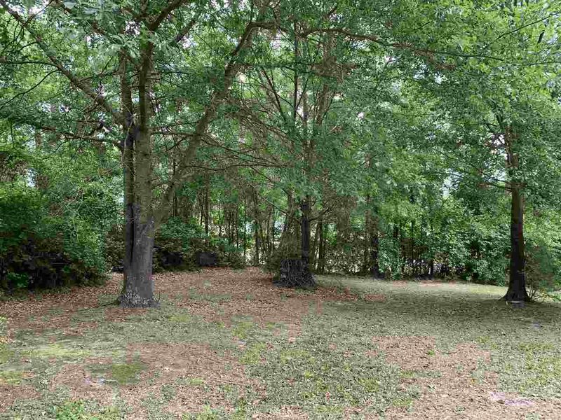 7931 Elevation Rd, Benson, NC 27504
