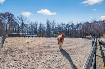 794 Cobb Rd, Benson, NC 27504