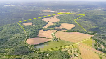 7941 Morrow Mill Rd, Mebane, NC 27302