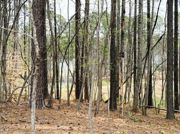 7944 Wexford Waters Ln, Wake Forest, NC 27587