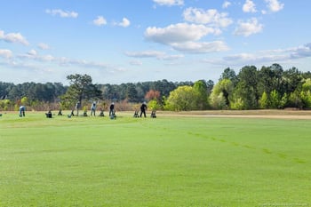 797 Daphne Ln, Vass, NC 28394