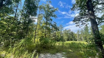 8 Cummings Rd, Lillington, NC 27546