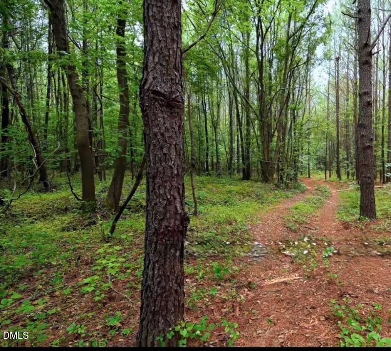 8 Nc 98 Hgwy Hw, Louisburg, NC 27549