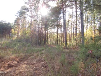 8.78 Acres Riley Hill Rd, Wendell, NC 27591