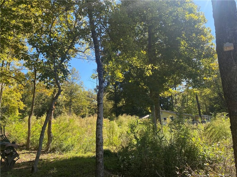 80 Bay St, Fuquay Varina, NC 27526