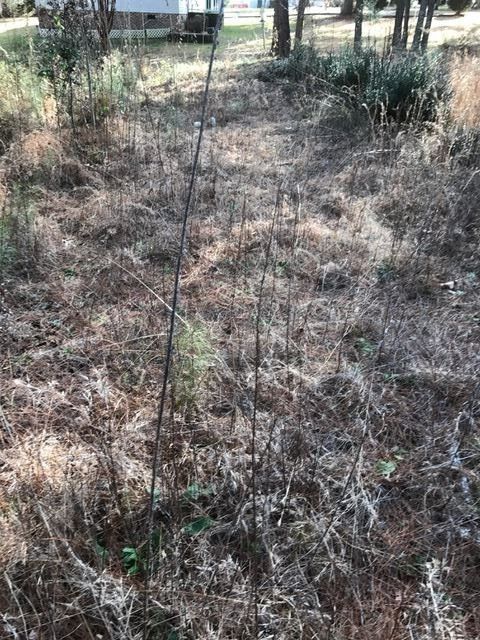 80 Nickolas Dr Lot 19, Louisburg, NC 27549