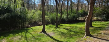 800 Hamlets Chapel Rd, Pittsboro, NC 27312