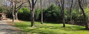 800 Hamlets Chapel Rd, Pittsboro, NC 27312