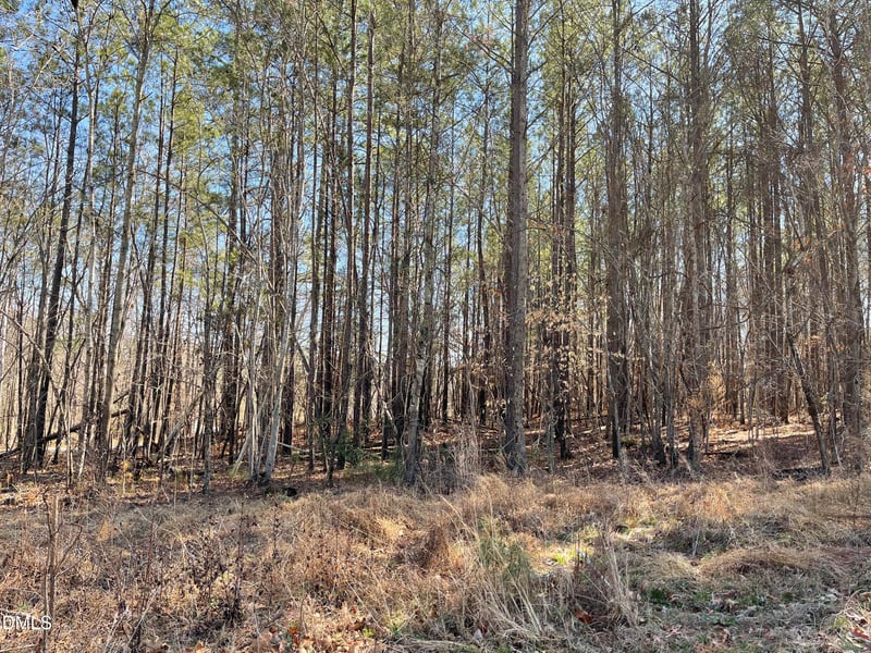 800 Olive Branch Rd Lot 1, Durham, NC 27703