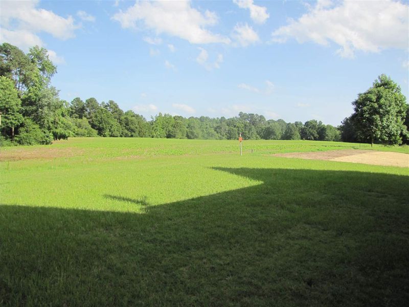 8006 Spiderlily Ct, Zebulon, NC 27597